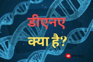 Dna kya hai hindi