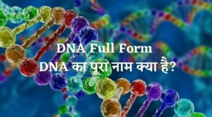 DNA Full Form