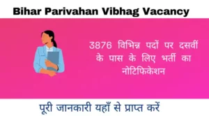 Bihar Parivahan Vibhag Vacancy