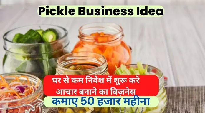 pickle business idea