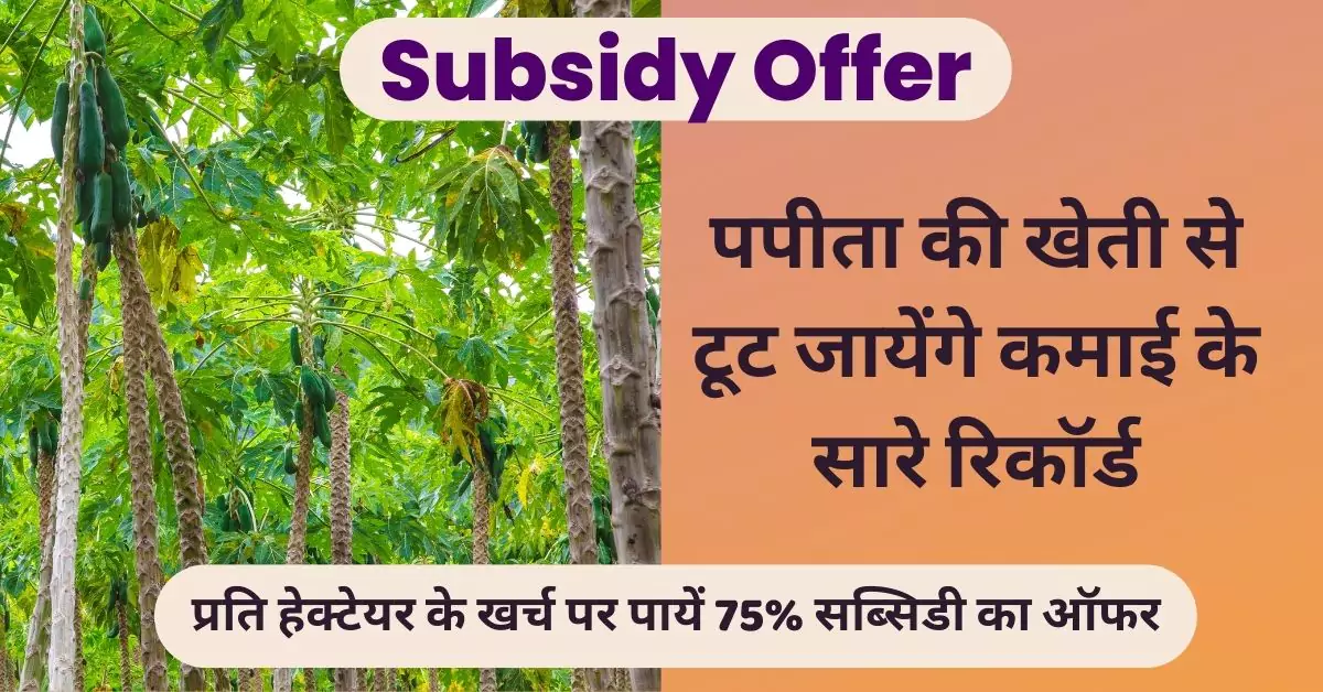 subsidy offer