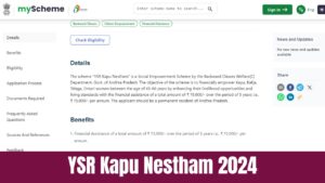 YSR Kapu Nestham 2024